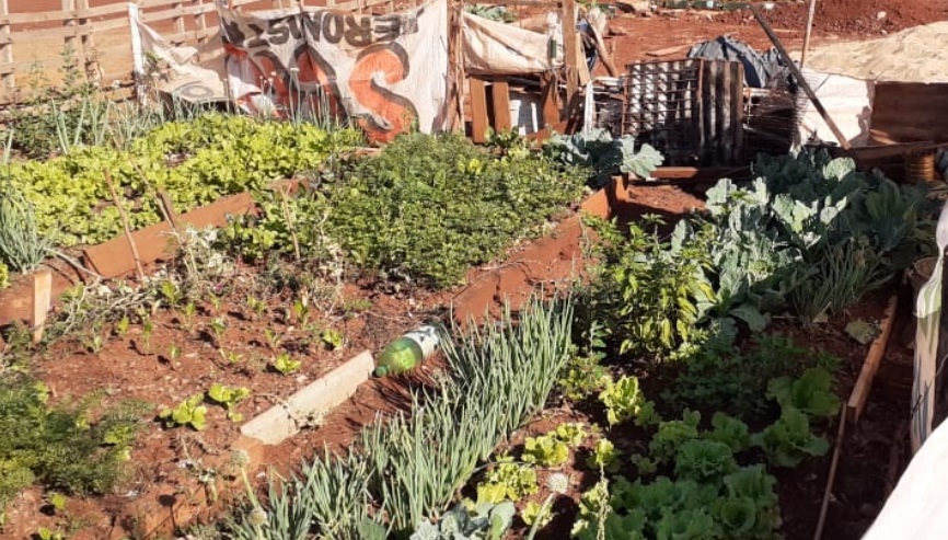 Proyectan una cuenca hortícola en el barrio Itaembé Guazú de Posadas