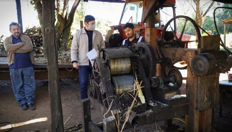 Propuestas de fomento a la producción artesanal de azúcar rubio en Cerro Azul