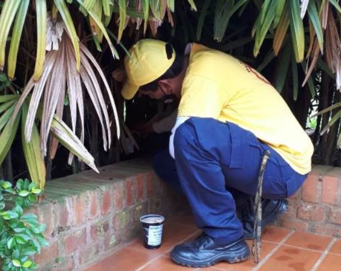 Interbrote: la participación comunitaria es el eje principal para prevenir el dengue