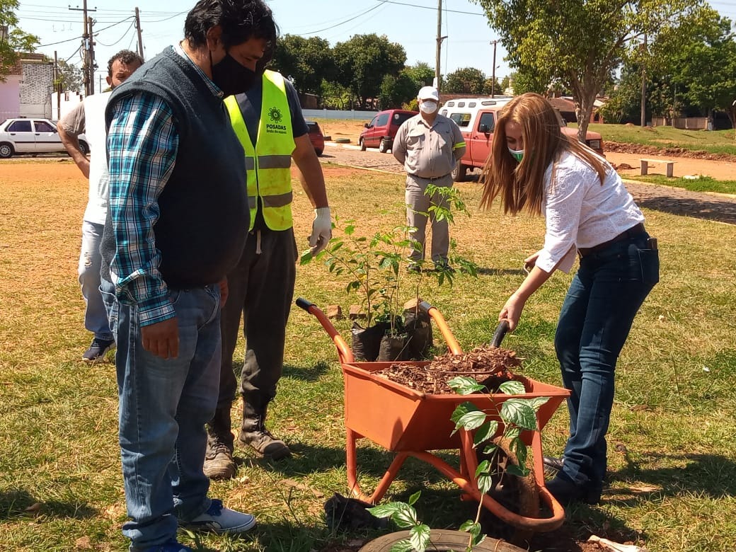Posadas: plantaron árboles en un terreno donde existía un minibasural