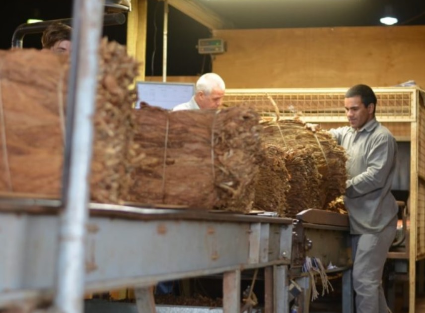 Continúan abiertas las inscripciones para la emisión de certificado de productor primario digital