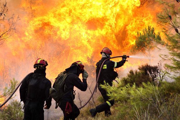Peligrosidad de incendios al extremo en Misiones: “Toda quema está prohibida y puede provocar un desastre”, advirtió Vialey
