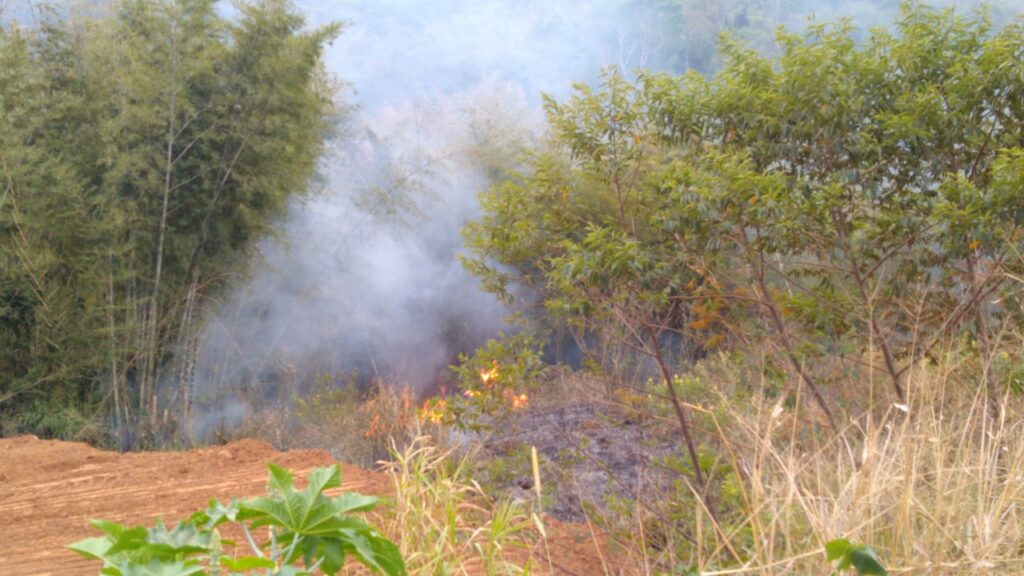 Bomberos Voluntarios lograron sofocar un incendio forestal en Iguazú