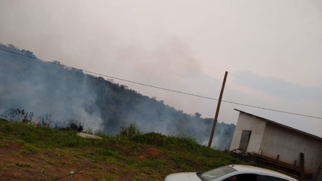 Bomberos Voluntarios lograron sofocar un incendio forestal en Iguazú