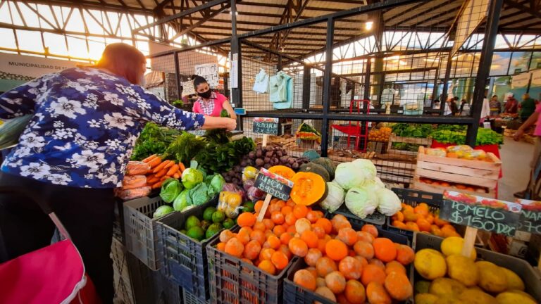 Verduras que permitirán comidas saludables, entre las ofertas del Mercado Concentrador Zonal de Posadas