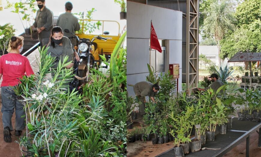 Biofábrica: este sábado, “Misiones Siempre en Flor”, una feria para agasajar a mamá