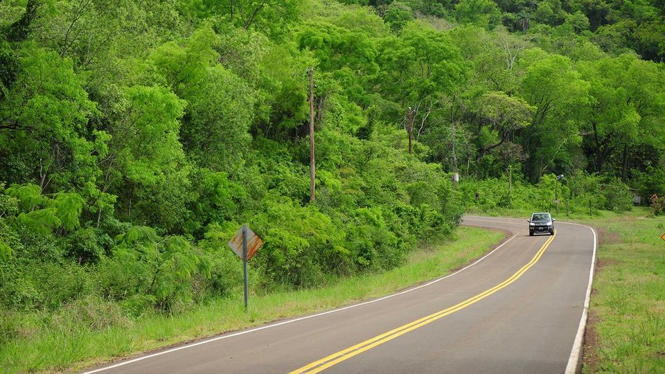 ¿Por qué se celebra hoy el día del camino y la educación vial?