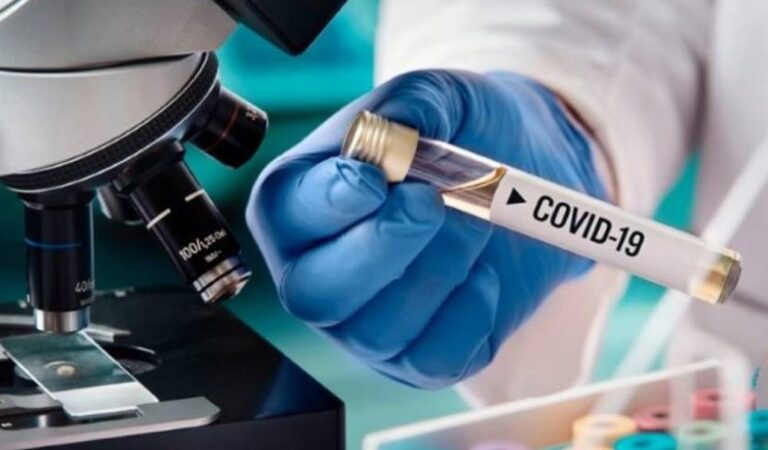 Confirmaron 6 nuevos casos de Covid-19 y se recuperaron 7 pacientes en Misiones