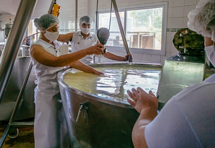Instituyeron un marco regulatorio para las Salas de elaboración de derivados lácteos para agricultores familiares misioneros