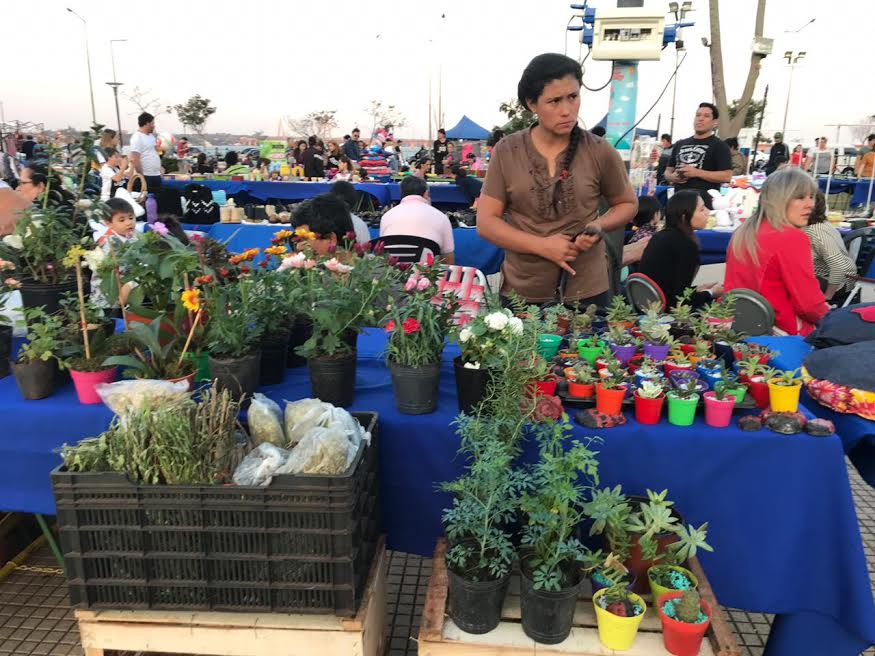 Prueba piloto: este domingo reabrirán las ferias de la Costanera