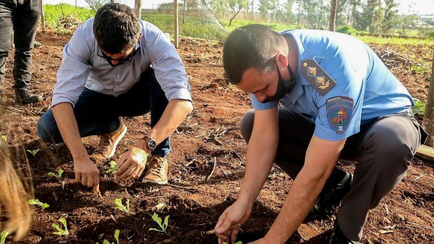 Promueven la huerta y la comida saludable en la Unidad Penal VI de Posadas