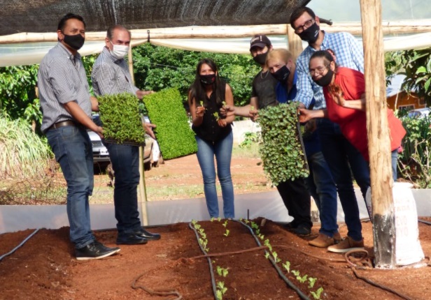 Fortalecen la producción hortícola domiciliaria en Posadas