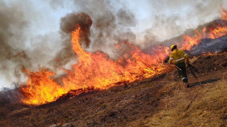 Jujuy: el fuego arrasó más de 210 hectáreas de bosques en la zona del Parque Nacional Calilegua