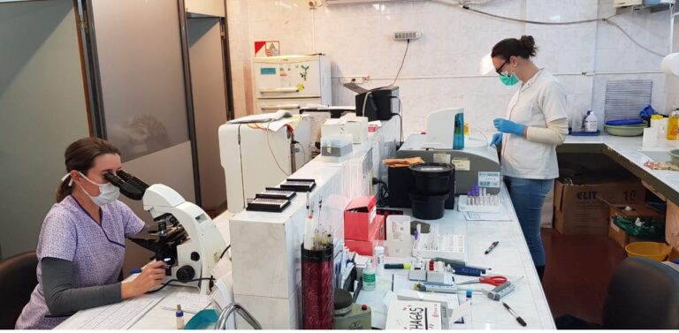 En lo que va del 2020, en Posadas se realizaron más de 1.500 estudios en laboratorios municipales