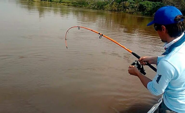 Desde el lunes también rige la veda de pesca en los ríos Paraná e Iguazú
