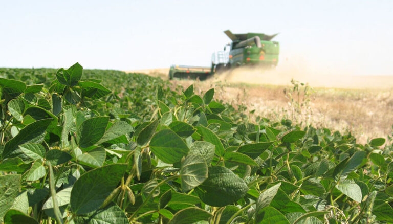 Nación formalizó la baja temporal de retenciones a la soja