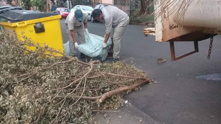 Operarios municipales continúan con los trabajos de limpieza en diferentes barrios de Posadas