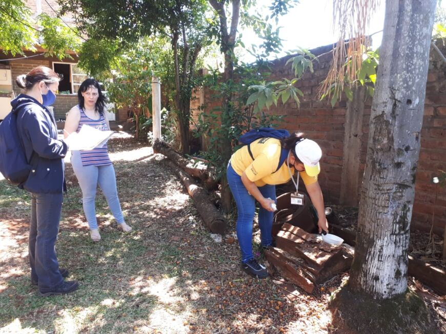 Siguen las tareas prevención del dengue en Oberá