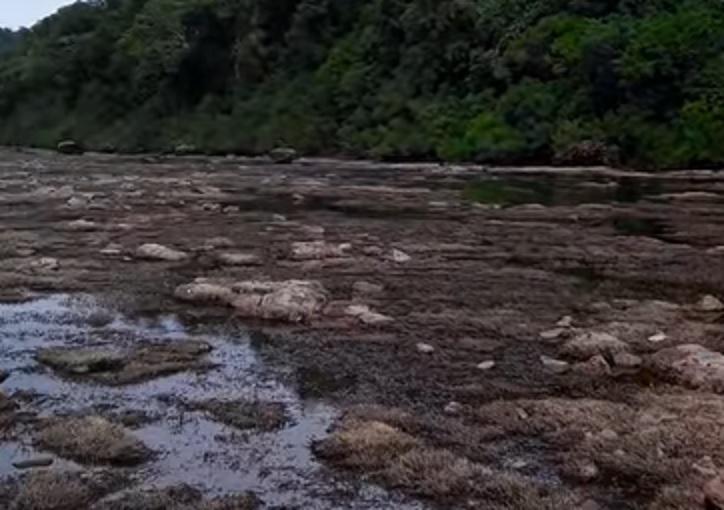 Sequía en Misiones: preocupa histórica bajante del arroyo Yabotí