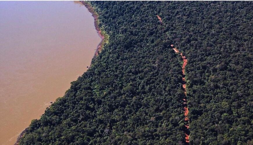 Misiones apuesta a la tecnología blockchain y las criptomonedas para resguardar su biodiversidad