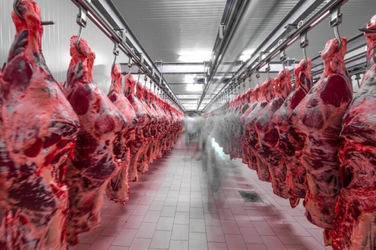 Carne: Gobierno nacional planea baja de retenciones y buscará lanzar programa de precios populares