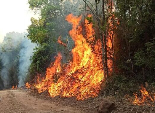 Incendios: “Se está haciendo un esfuerzo enorme con todos los recursos de la provincia”, dijo el Gobernador