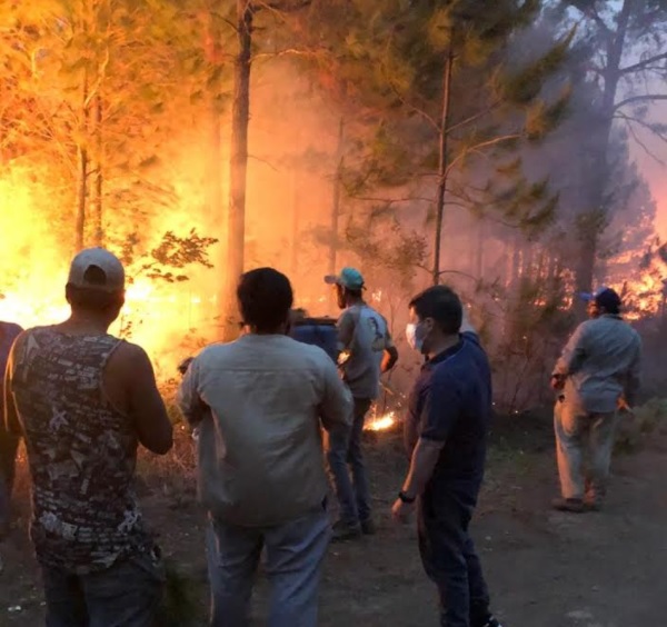 Incendios en Misiones: Alarcón junto al equipo de Salud Pública se sumaron a los trabajos en Bonpland y Caayarí