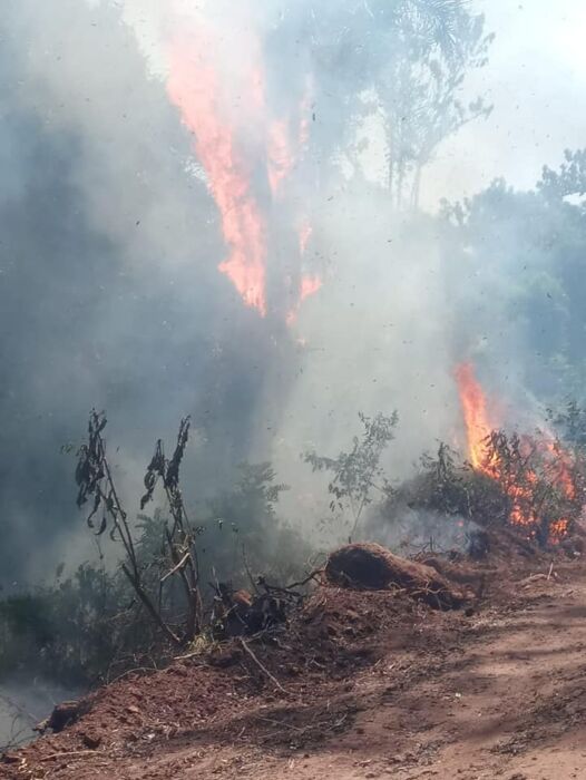 La mayoría de los focos de incendios en Misiones fueron provocados por personas 1 2 - incendios4 - 1