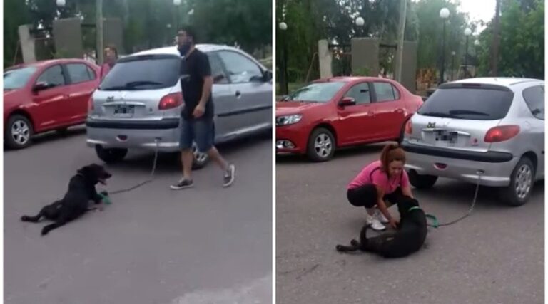 Video: una mujer encadenó su perro al auto y lo arrastró durante siete cuadras