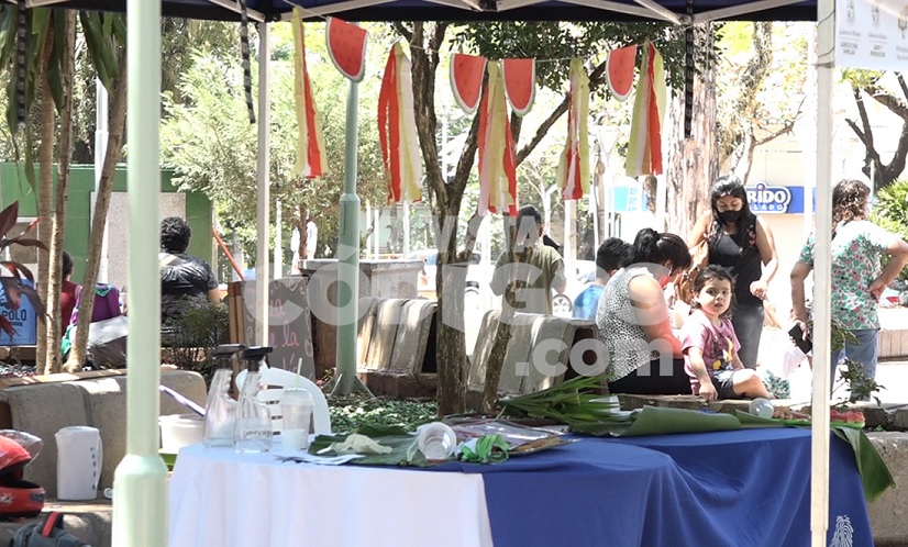 Plaza San Martín de Posadas: productores del Valle del Cuñá Pirú vendieron todas sus sandías en pocas horas