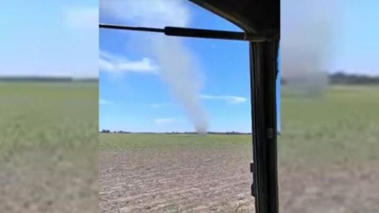 Video: se formó un torbellino en el campo al norte de Santa Fe