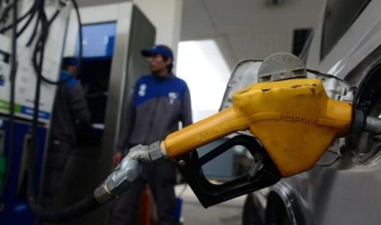 Informe reveló que la venta de combustible cayó 17% durante noviembre en Argentina