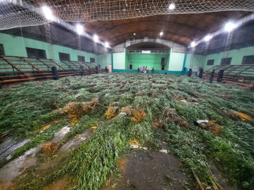 La marihuana incautada en el paraje Inter de Dos Hermanas pesó casi cuatro toneladas