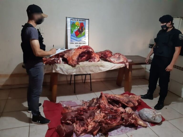 Abigeato en San Antonio: recuperaron un buey robado y secuestraron carne faenada