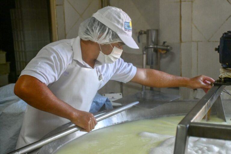 Industria lechera: más de 70 productores se capacitaron sobre elaboración de quesos