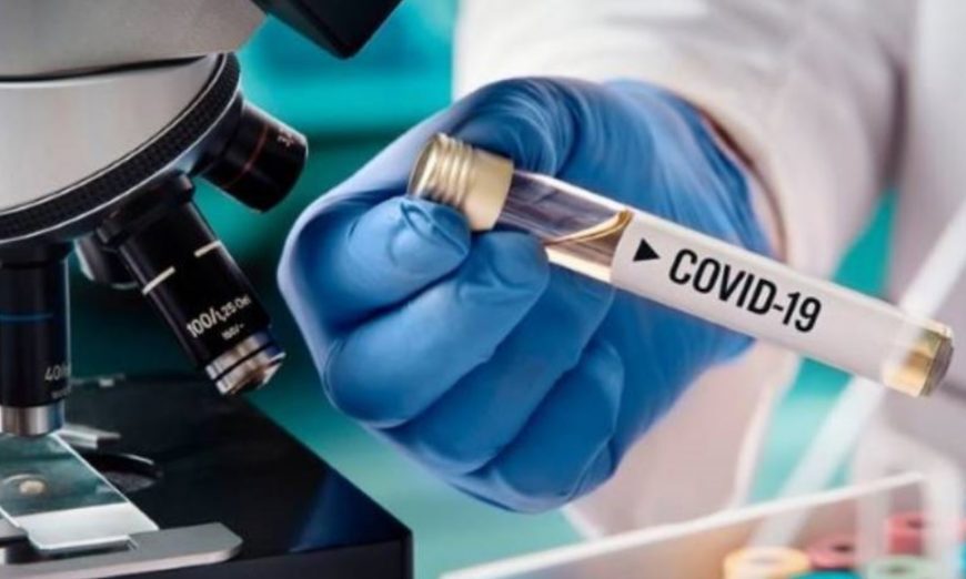 Covid-19: este domingo notificaron 11 nuevos casos positivos en Misiones