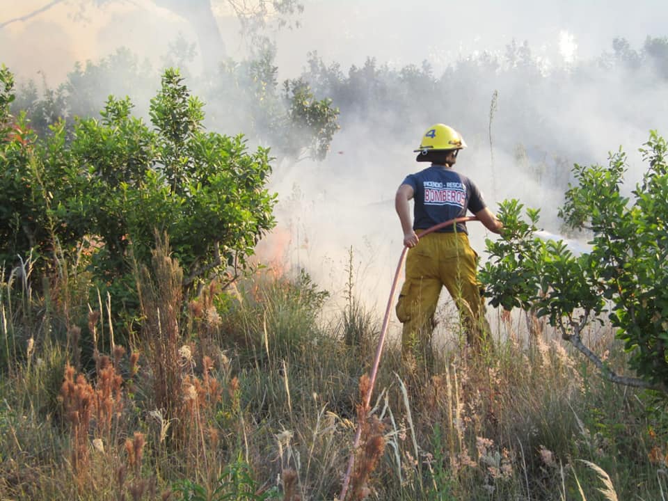 Alto índice de peligrosidad de incendios en Misiones: recuerdan línea telefónica para denunciar quemas