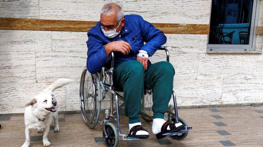 Emotivo: una perrita esperó a su dueño en la puerta del hospital por días