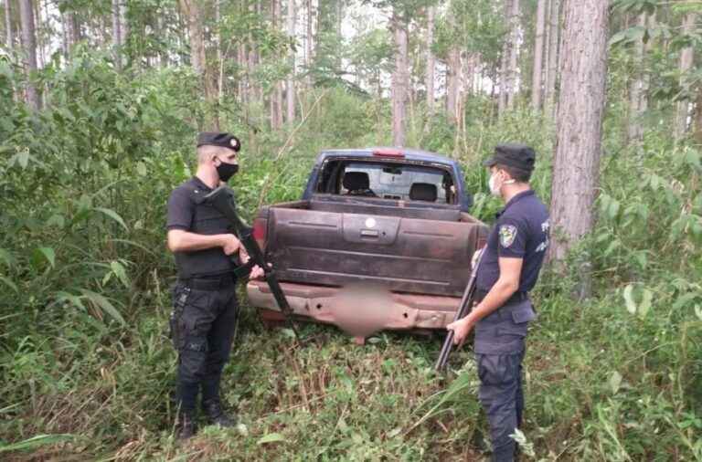 Recuperaron otra camioneta robada: ahora en un monte de Puerto Esperanza