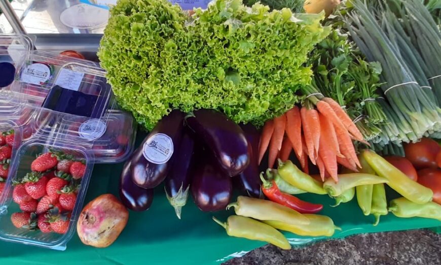 Posadas: la feria franca del Concejo se traslada al Paseo Bosetti