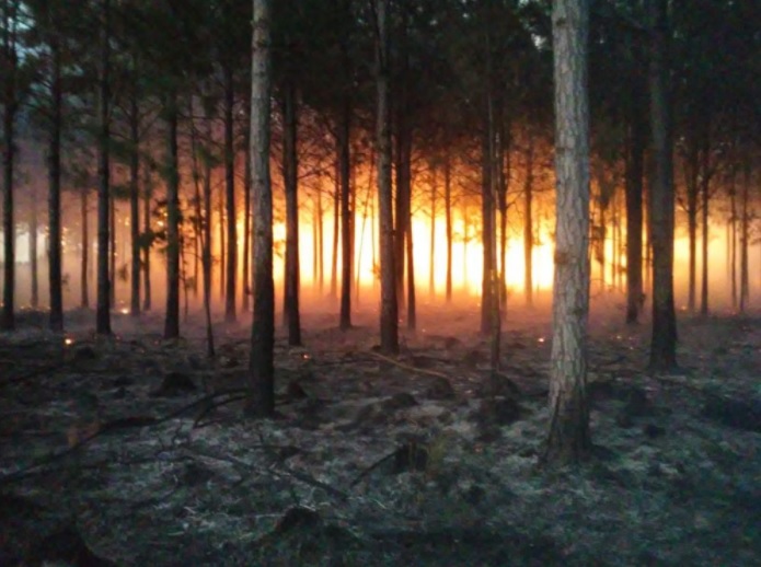 No logran controlar un incendio en zona de Ituzaingó y Virasoro: ruegan que llueva