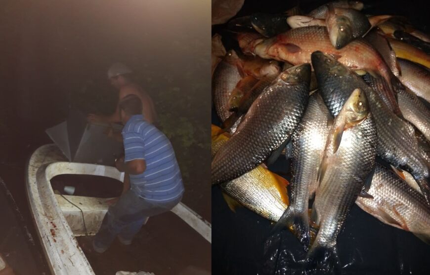 Guardaparques misioneros y brasileros detuvieron a pescadores furtivos sobre el Uruguay