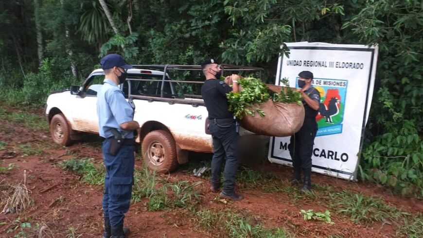 Recuperaron más de 1.800 kilos de yerba mate en Montecarlo