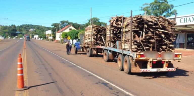 Interceptaron un camión que transportaba madera sin medidas de seguridad en Capioví