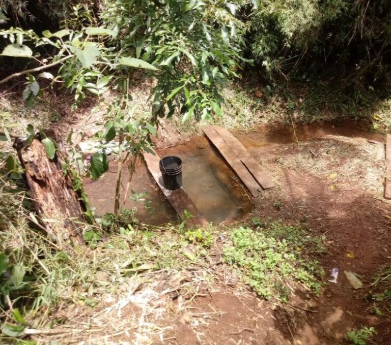 Trágico: una nena de 7 años se ahogó en un arroyo de la aldea Yvytu Porá en Aristóbulo del Valle