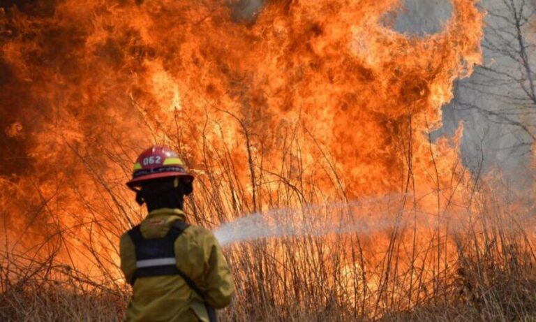 En 2020, los incendios forestales quemaron más de un millón de hectáreas en Argentina