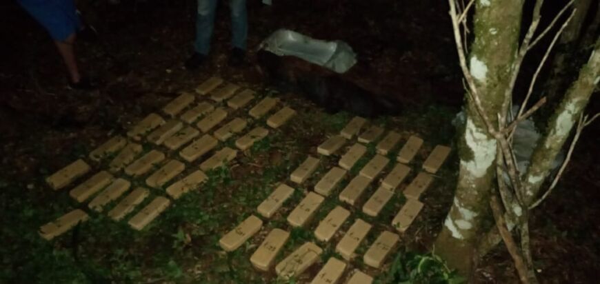 Garuhapé: hallaron más de 50 panes de marihuana en una chacra de la Colonia El Bolsón 1 2 - marihuana1 - 1