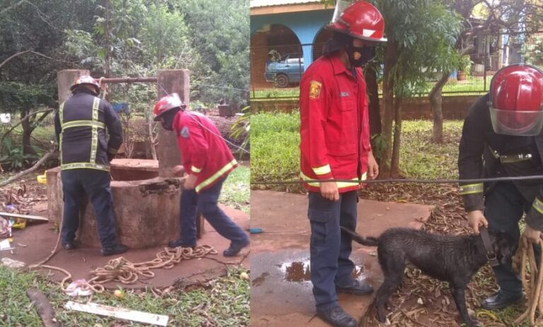Salvaron a un perro que cayó a un pozo de agua en Garupá