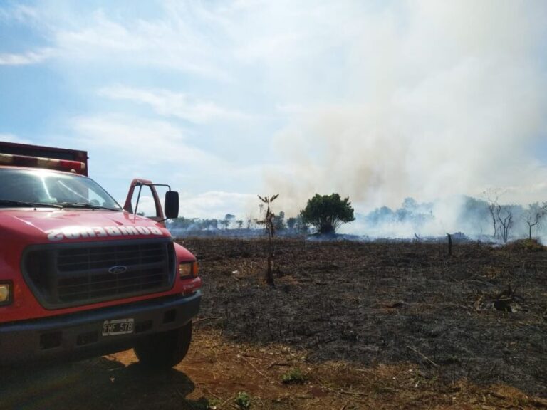 Bomberos sofocaron incendios de malezas en General Alvear, San Pedro y Posadas