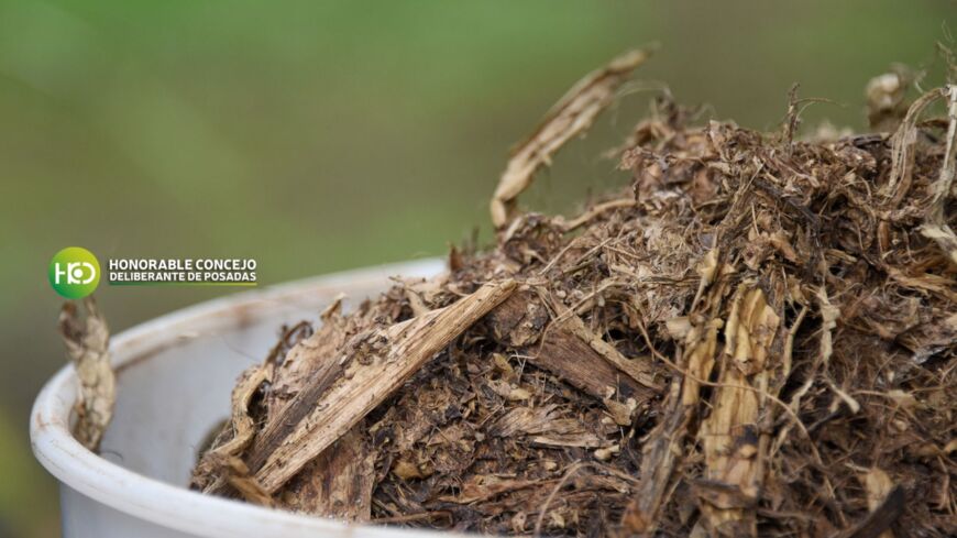 Ciudad sustentable: concejales presentaron una iniciativa para reciclar residuos de podas en Posadas